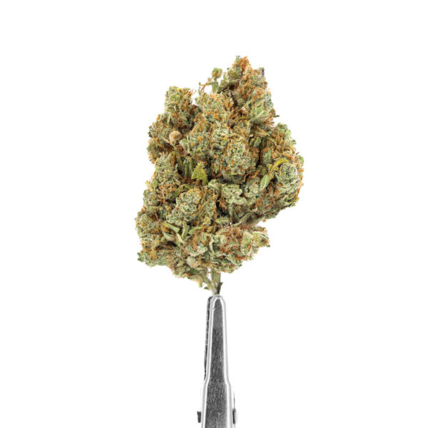FLEURS CBD SMALL BUD - AMNESIA- L'SPACE VAPE